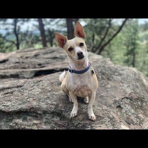 Meet your Posher, Nina